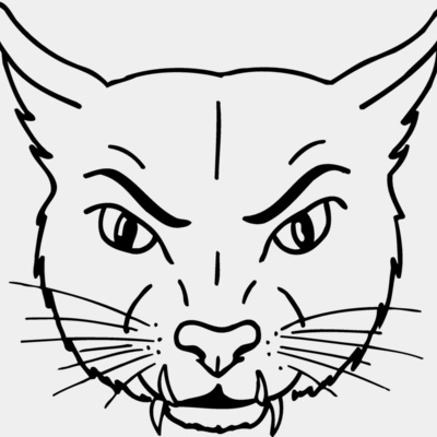 CAT19 Thumbnail