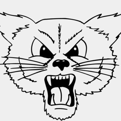 CAT20 Thumbnail