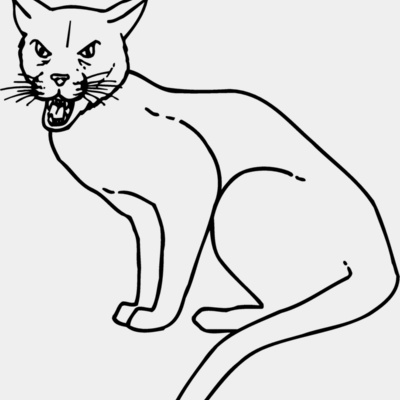 CAT21 Thumbnail