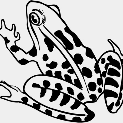 FROG01 Thumbnail