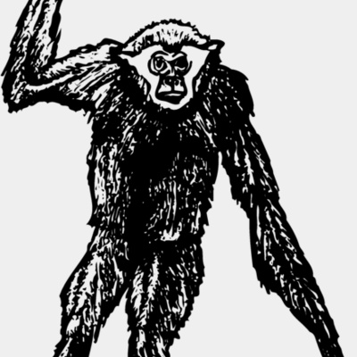 MONK003 Thumbnail