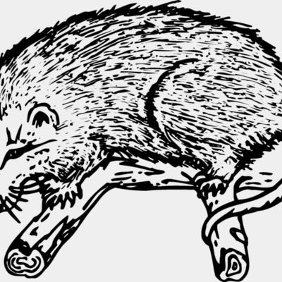POSSUM01 Thumbnail
