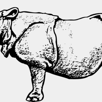 RHINO003 Thumbnail