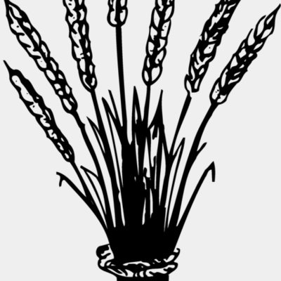 GRAIN008 Thumbnail