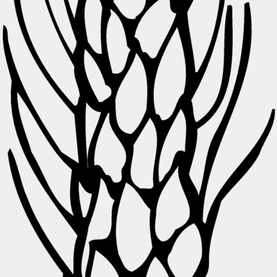 GRAIN010 Thumbnail