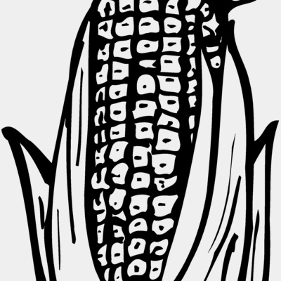 GRAIN013 Thumbnail