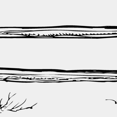 F0004 Thumbnail
