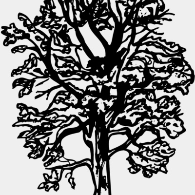 TREE0018 Thumbnail
