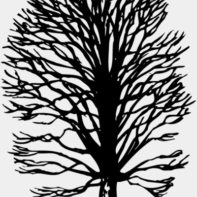 TREE0019 Thumbnail