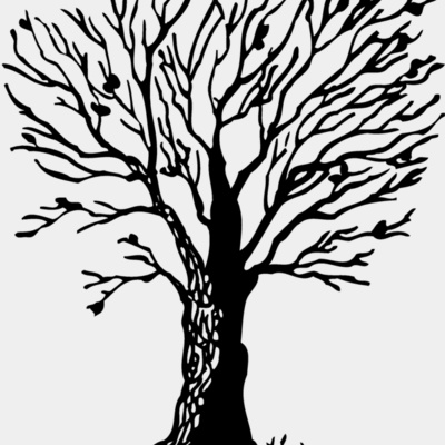 TREE0020 Thumbnail
