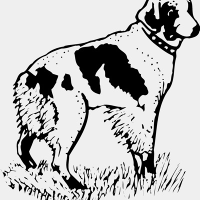 Dogs Thumbnail