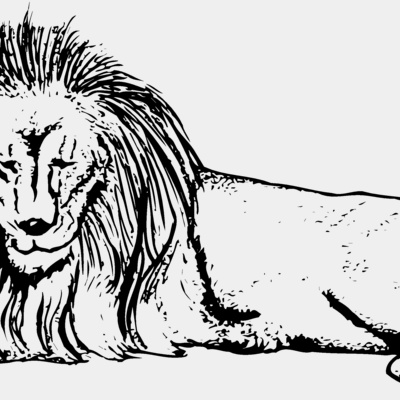 Lion Thumbnail