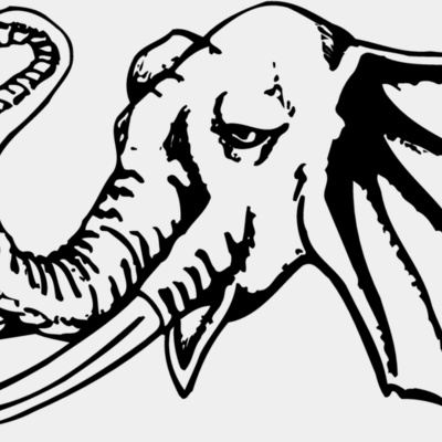 Elephants Thumbnail