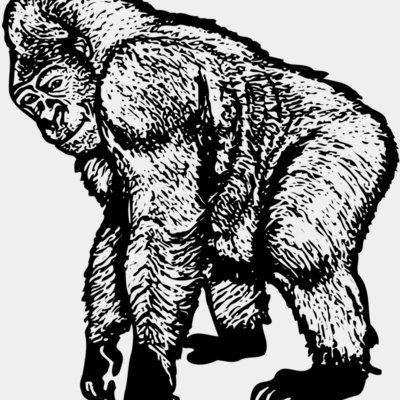 Primate Thumbnail