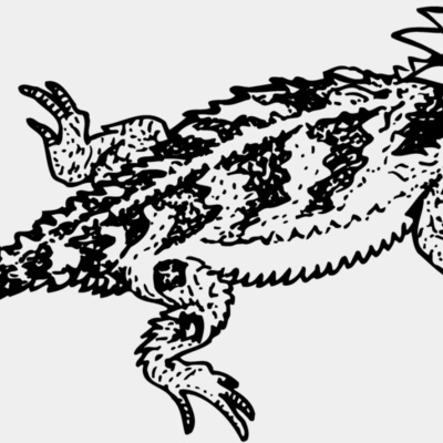 Iguana Thumbnail