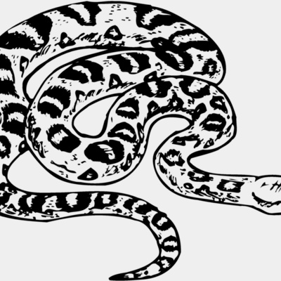 Snake Thumbnail