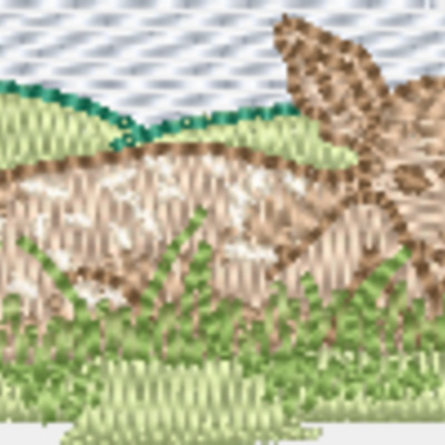 European Thumbnail