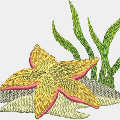 Seashells Thumbnail