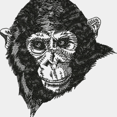 Chimpanzee Thumbnail