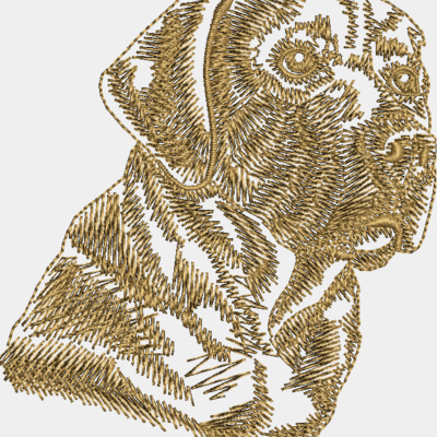 Labrador Thumbnail
