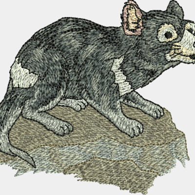 Tasmanian Devil Thumbnail