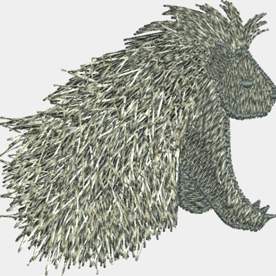 Porcupine Thumbnail