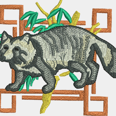 Raccoon Dog Thumbnail