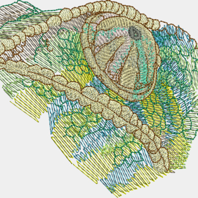 Chameleon Thumbnail