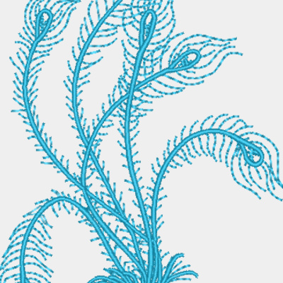 Feathers Thumbnail