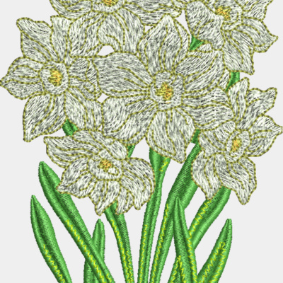 Daffodils Thumbnail