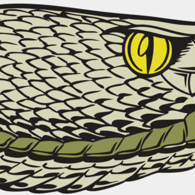 Snakes Thumbnail